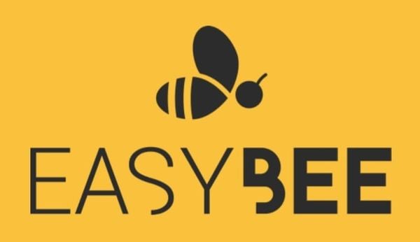 Identidade visual da Easybee, startup de diaristas