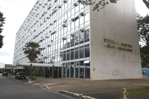 Ministério da Agricultura e Pecuária (Mapa) fez um alerta sobre a doença nesta segunda-feira (15)