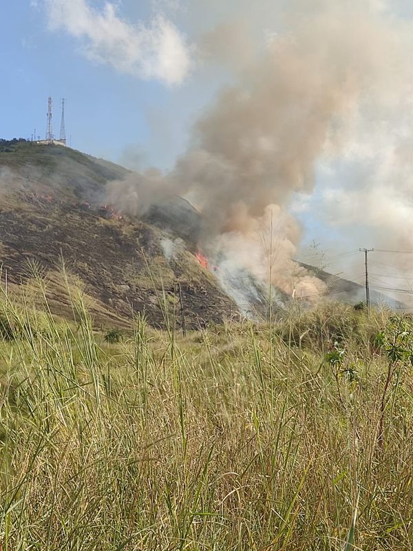 Internautas de vários bairros, como o Zumbi e Campo Leopoldina, registram imagens da situação