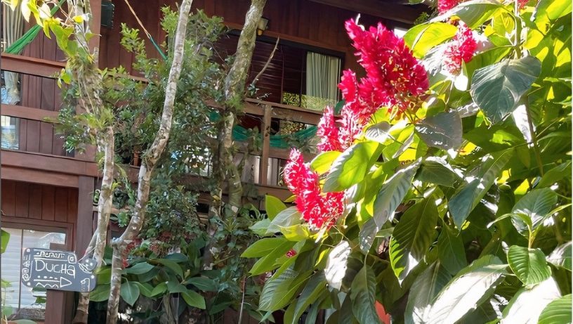 Jardim vertical - Alessandra Casagrande