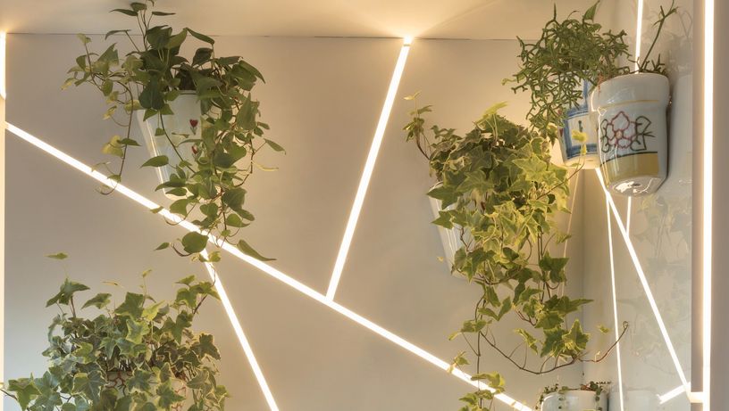 Jardim vertical - Alessandra Casagrande