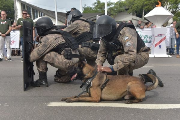 Desfile cívico em comemoração aos 488 anos de Vila Velha, nesta terça-feira (23) por Ricardo Medeiros