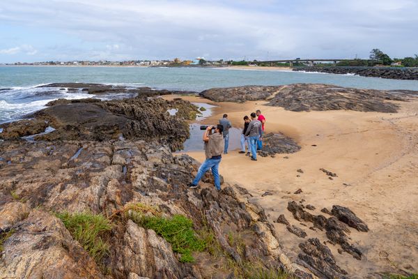 Marataízes monitora aves marinhas em ilhas  por Divulgação/ PMM