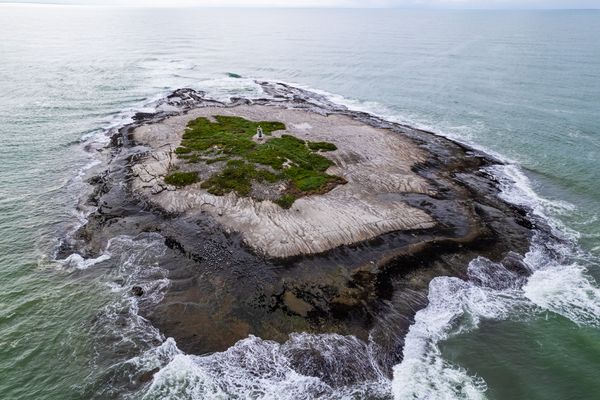 Marataízes monitora aves marinhas em ilhas  por Divulgação/ PMM