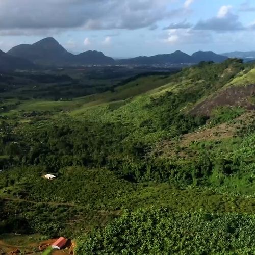 Foram 27,55 mil hectares, o equivalente a mais de 1,4 mil estádios do Maracanã; dados referem-se ao período de 2021 a 2024