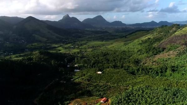 Foram 27,55 mil hectares, o equivalente a mais de 1,4 mil estádios do Maracanã; dados referem-se ao período de 2021 a 2024