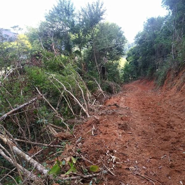 PM flagra desmatamento em área da Mata Atlântica no Sul do ES por Polícia Militar Ambiental 