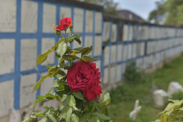 Cemitério de Maruipe, em Vitória por Ricardo Medeiros