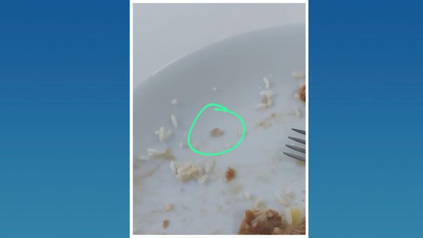 Estudante encontra larva e pedra em comida servida no RU da Ufes