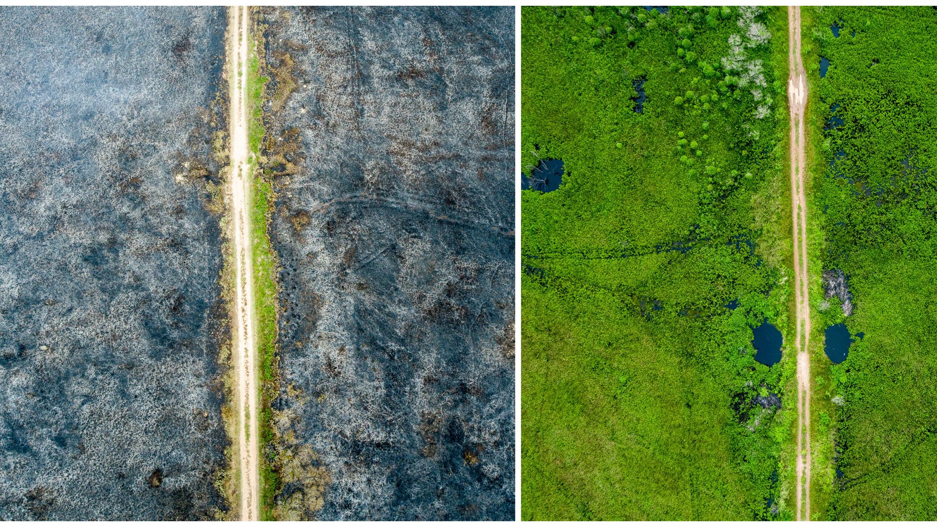 O mesmo local fotografado duas vezes: em setembro, quando o incêndio atingia o parque, e em maio de 2023, quando foi possível ver a regeneração do Parque Estadual Paulo César Vinha