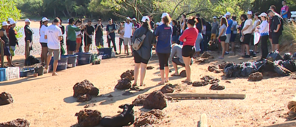 Ação foi na manhã desta segunda-feira (5)