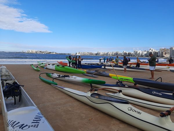 undefined por João Barbosa