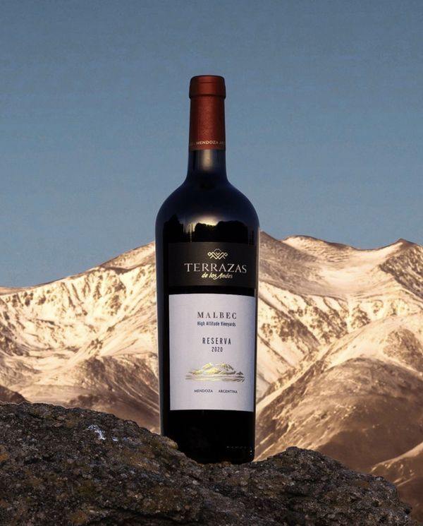 Vinho Malbec da vinícola argentina Terrazas de Los Andes, em Mendoza