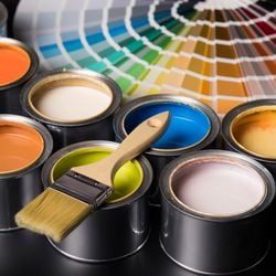 Na Casa das Tintas, é possível encontrar opções de cores e tendências que ajudam a tornar o lar ainda mais aconchegante