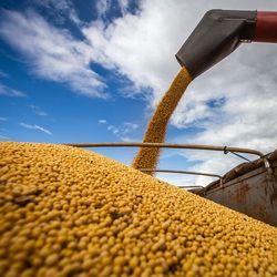 Com a implementação do novo sistema, a tributação se torna mais transparente e permite a compensação de créditos ao longo das diferentes etapas produtivas. Entretanto, existe o risco de elevação de custos em determinados segmentos