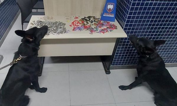 Drogas apreendidas no feriado na Grande Vitória