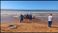 Baleia Jubarte morre e encalha em praia de Aracruz(Foto Leitor - Juliete Marques )