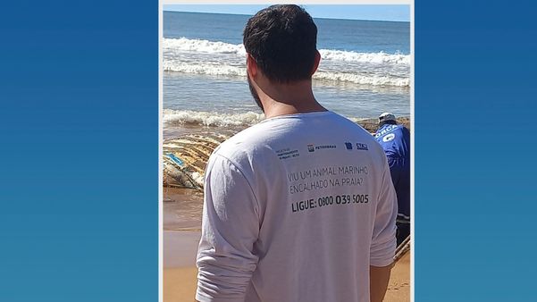 Baleia Jubarte morre e encalha em praia de Aracruz por Foto Leitor - Juliete Marques 