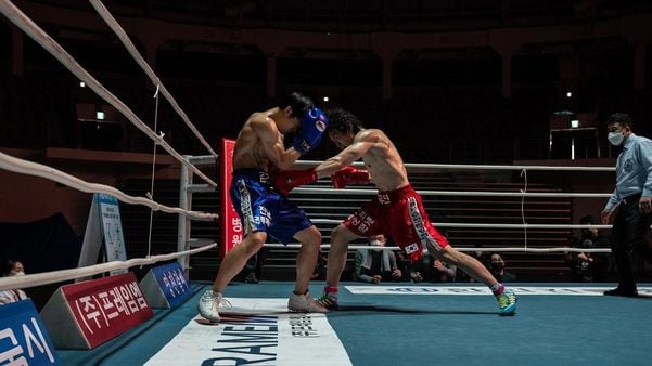 Cães de Caça”: a série de boxe sul-coreana que está a fazer