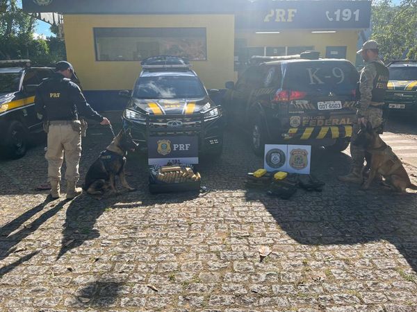 PRF apreende drogas escondidas em ônibus com destino ao ES