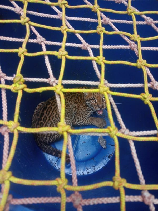 undefined por Divulgação/Prefeitura de Anchieta