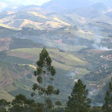 Imagem - Caparaó capixaba ganha roteiro turístico com experiências em lavouras de café