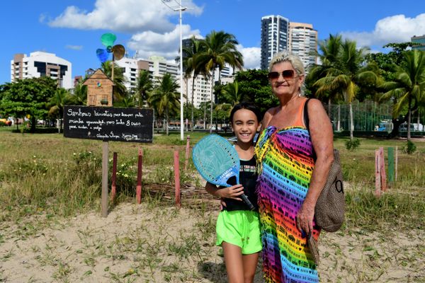 Mamãe dog ganha casa na praia da Curva da Jurema para cuidar dos filhotes por Fernando Madeira