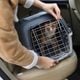 Imagem - Transportar pets do lado de fora ou soltos no carro é infração grave