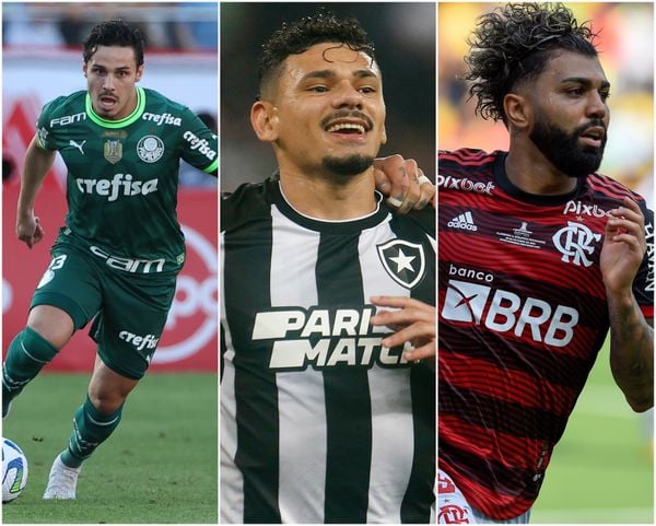 Palmeiras, Botafogo e Flamengo tem rodada decisiva no Campeonato Brasileiro
