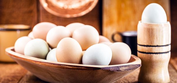 Os ovos fazem parte do dia a dia das famílias e também são a base para o preparo de várias receitas