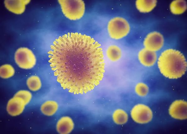 O Instituto Butantan anunciou o desenvolvimento e produção de uma vacina contra a gripe aviária (H5N1) em humanos, frente a possibilidade de surtos