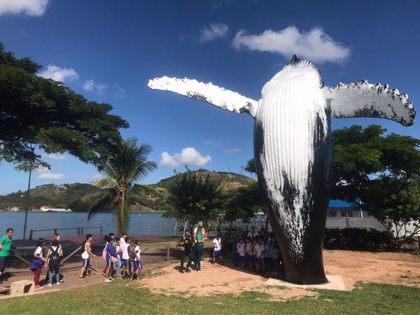 O Salto: réplica gigante do salta de uma baleia jubarte