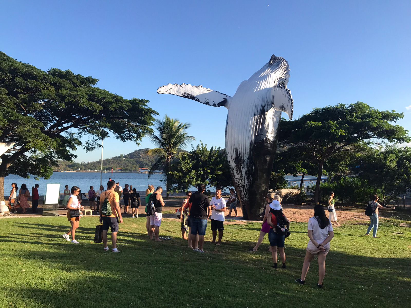 Instalada na sede do Projeto Baleia Jubarte, em Vitória, a escultura celebra as gigantes do mar, que visitam a costa do Estado