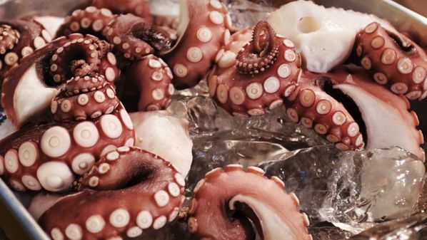 CBN Vitória - gd65xdnluoa