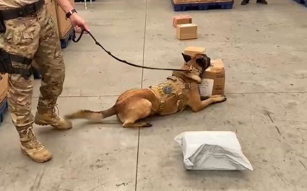 PF apreende 9kg de maconha com jovem em Vila Velha por Reprodução | Polícia Federal