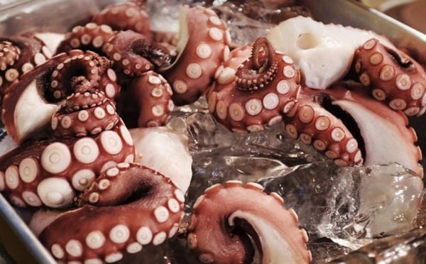 Tentáculos de Polvo