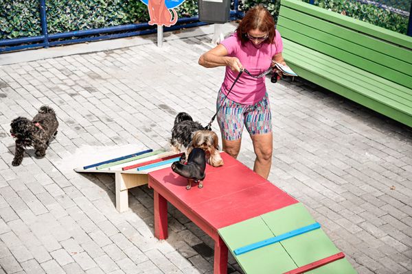 Espaço para pets no Atlântica Parque foi reformado