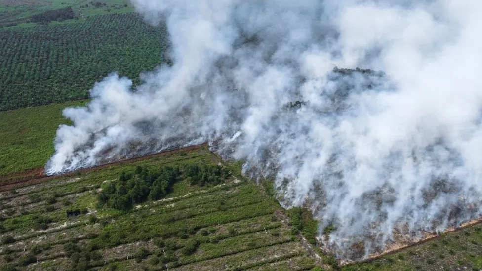 Imagem BBC Brasil