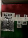 Protesto de torcedores do Fluminense(Reprodução)