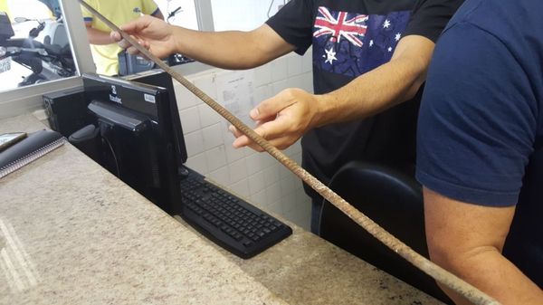 Vergalhão que atingiu empresária na Praia da Costa, em Vila Velha