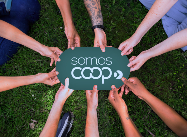 Cooperativismo; cooperativas; OCB