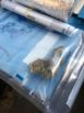 Dinheiro, drogas e arma foram encontrados durante operação Black Lança, da PF(Reprodução | Polícia Federal)