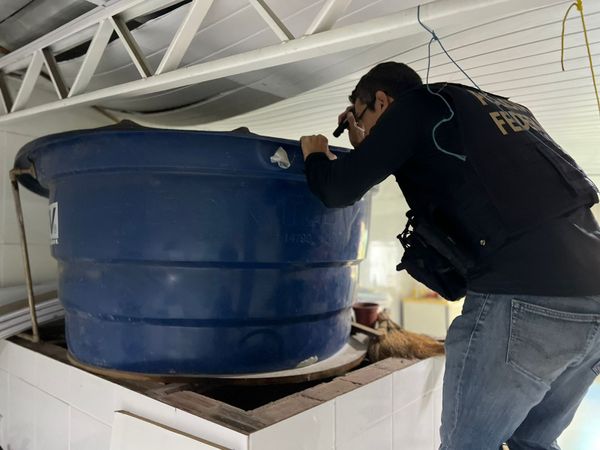 Dinheiro, drogas e arma foram encontrados durante operação Black Lança, da PF por Reprodução | Polícia Federal