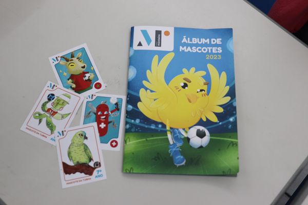 Escola Monteiro cria álbum de mascotes para a Copa do Mundo Feminina 2023