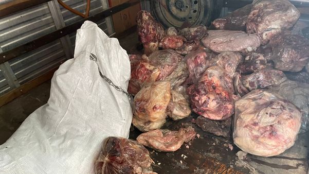 Parte da carne apreendida em Barra de São Francisco
