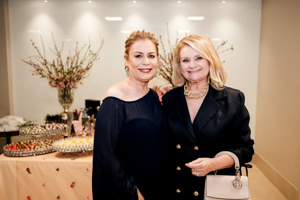 Sônia Abelha e Solange Herkenhoff