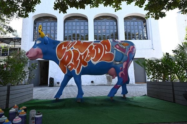CowParade: maior evento de arte urbana do mundo em Vitória e Vila Velha