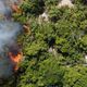 Imagem - Há seis dias, incêndio atinge área de proteção ambiental no Norte do ES