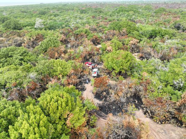 undefined por Divulgação | Iema 