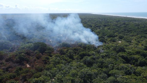undefined por Divulgação | Iema 